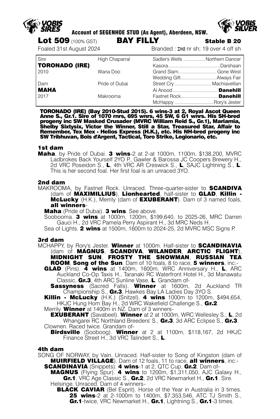 Pedigree - Lot 509
