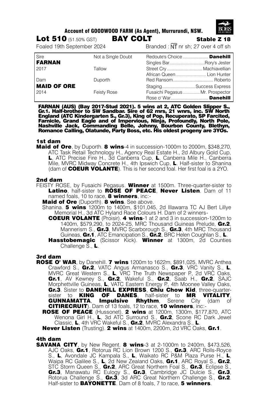 Pedigree - Lot 510