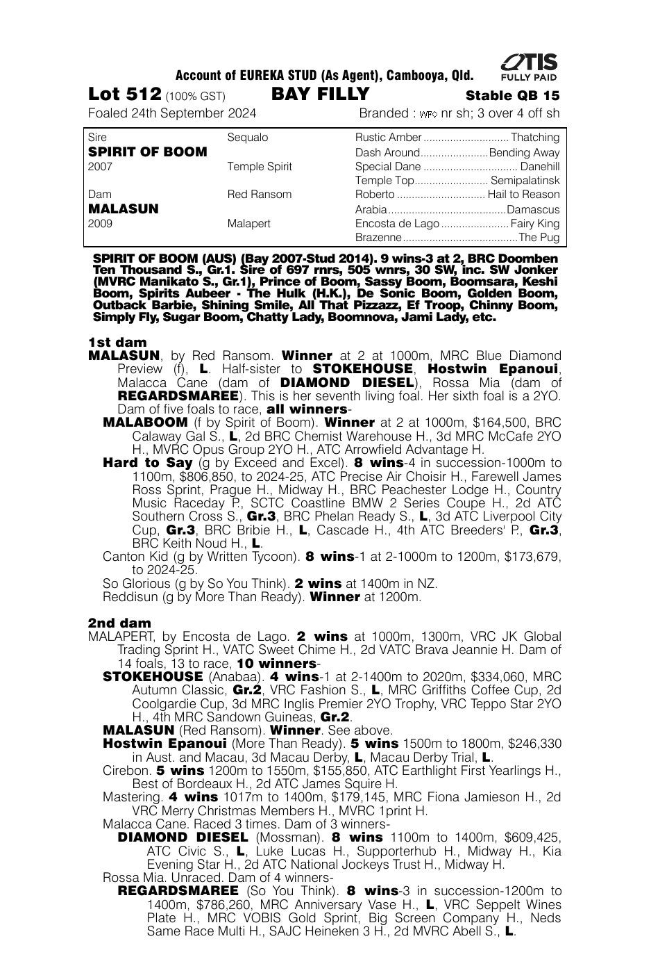 Pedigree - Lot 512