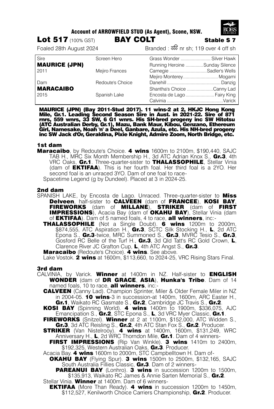 Pedigree - Lot 517