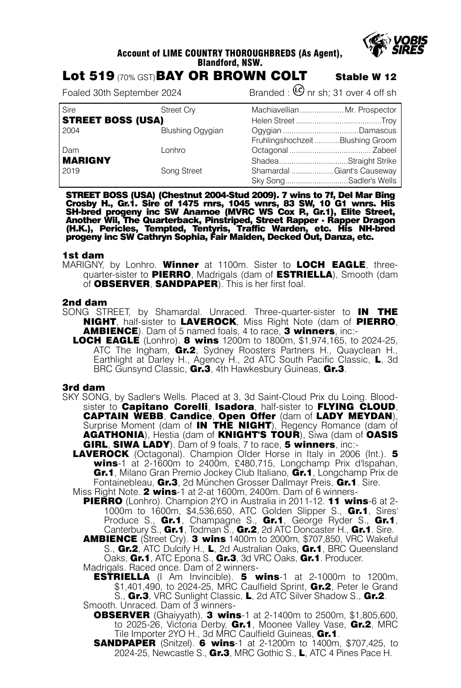 Pedigree - Lot 519