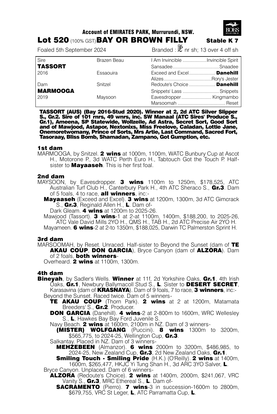 Pedigree - Lot 520