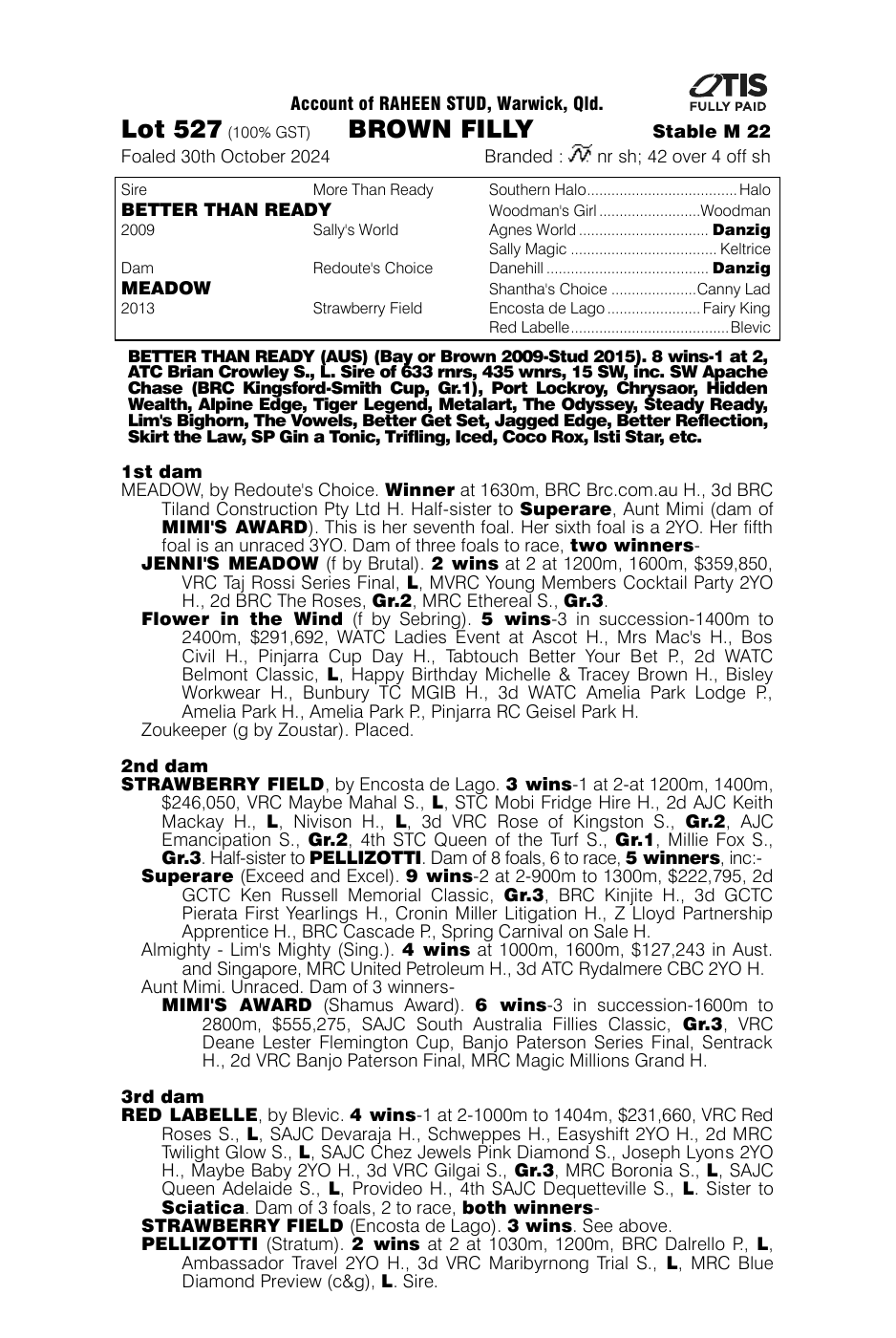 Pedigree - Lot 527