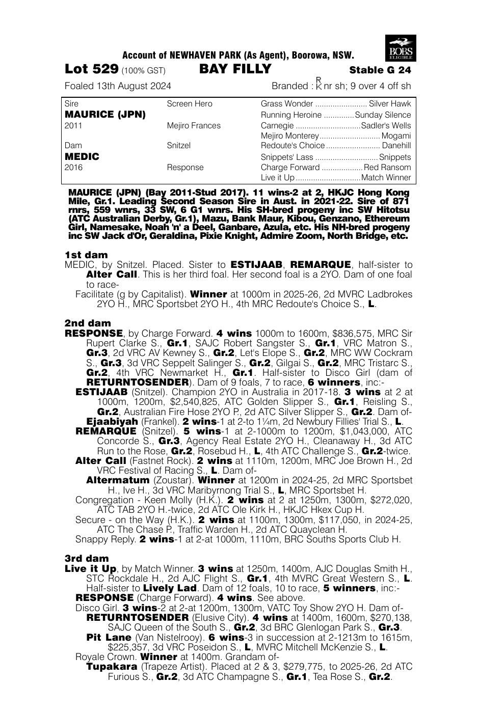 Pedigree - Lot 529
