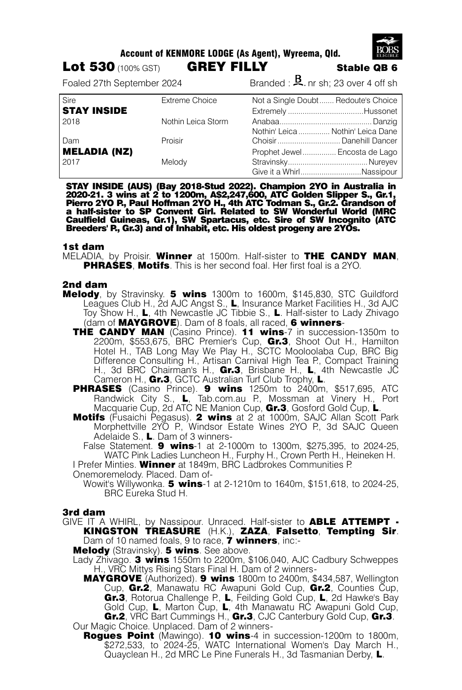 Pedigree - Lot 530