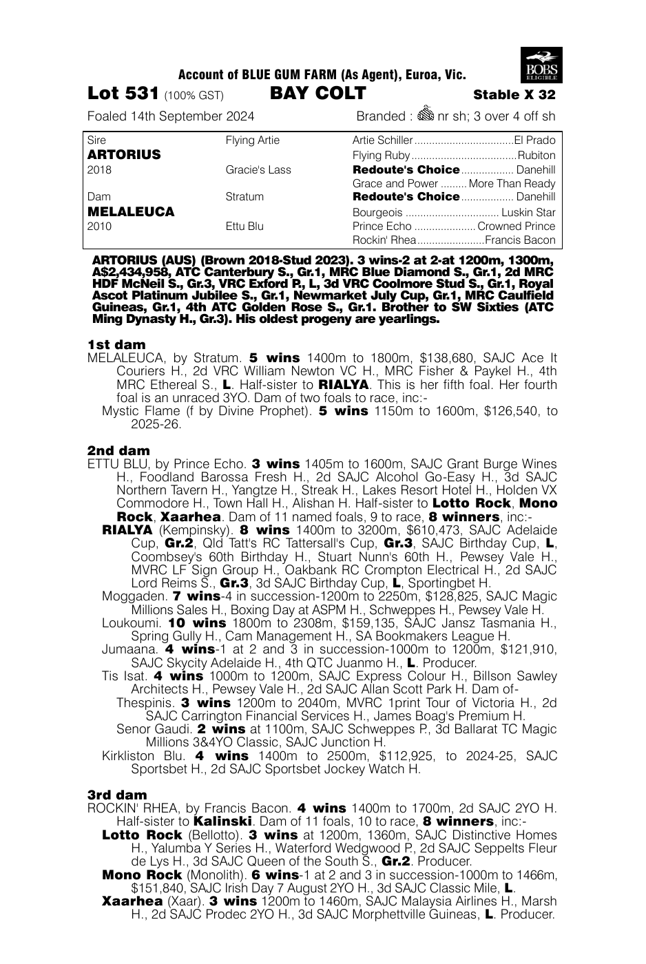Pedigree - Lot 531