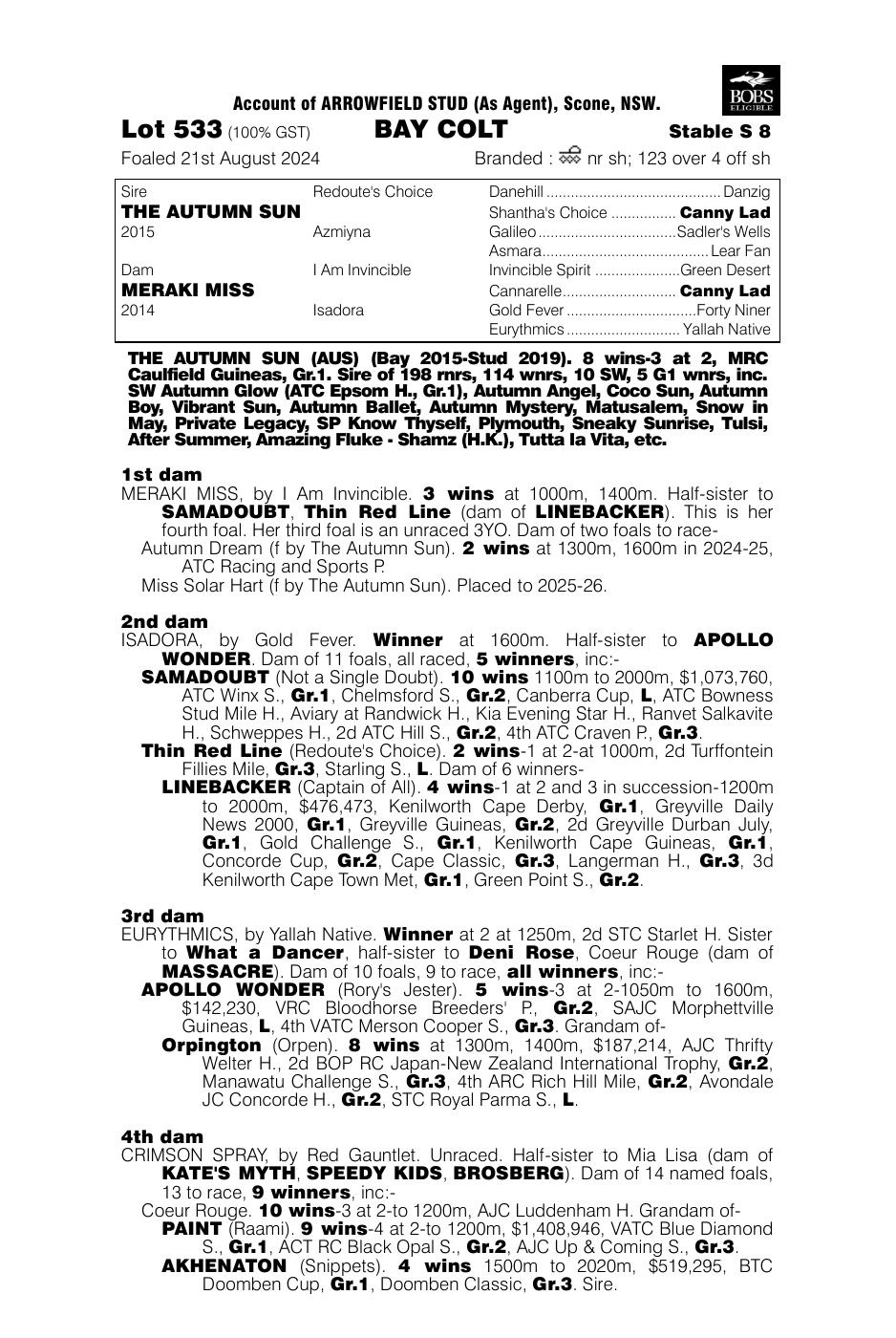 Pedigree - Lot 533