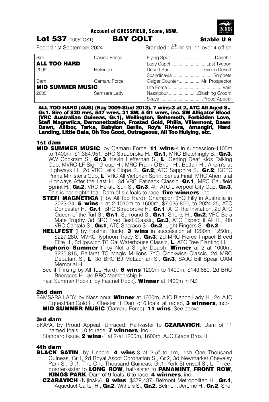 Pedigree - Lot 537