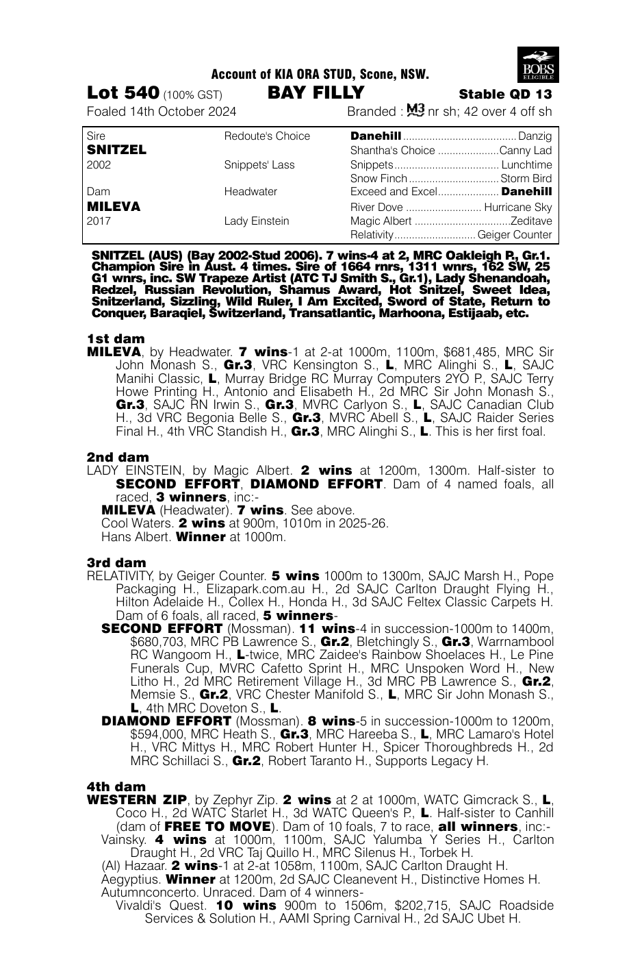 Pedigree - Lot 540