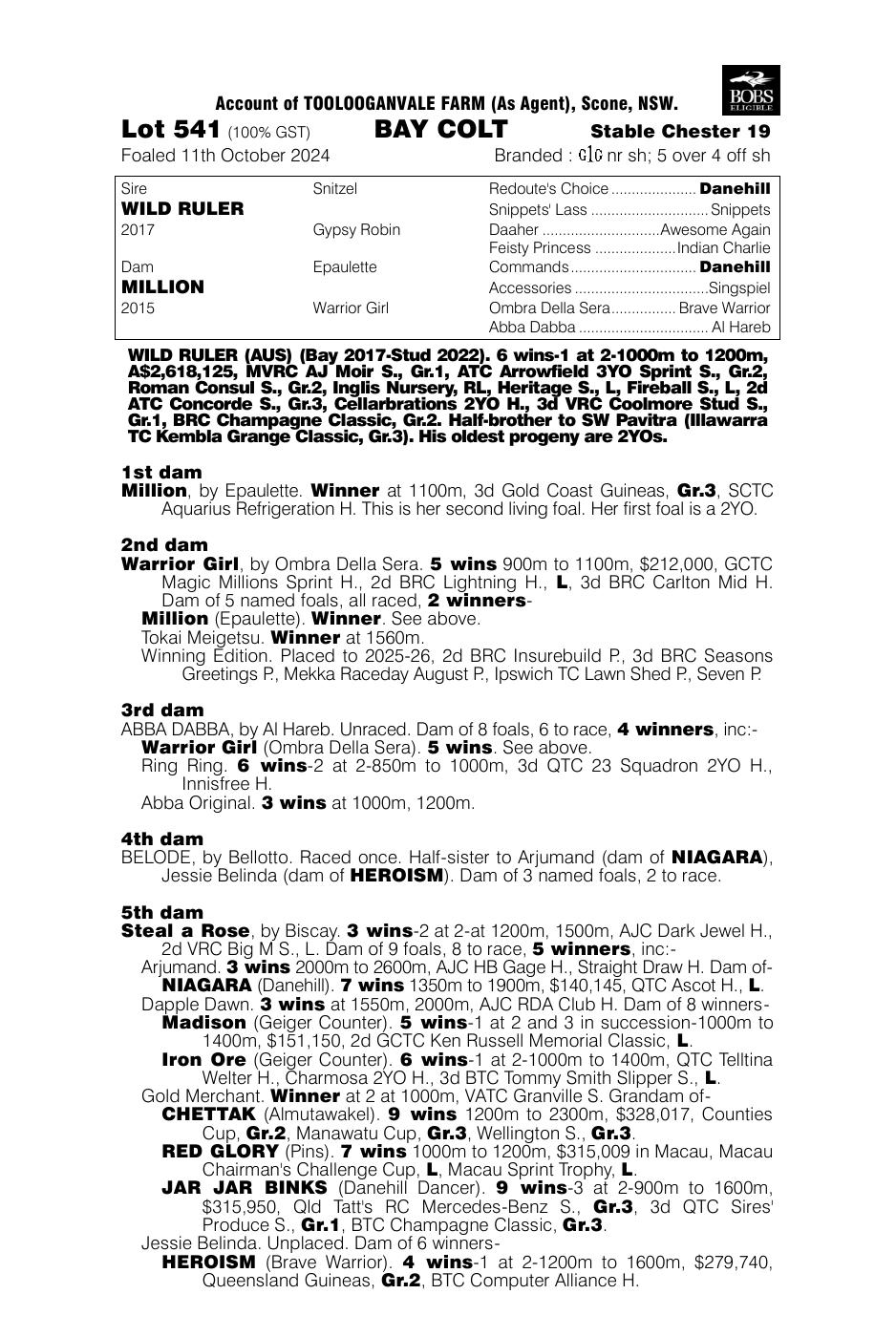 Pedigree - Lot 541
