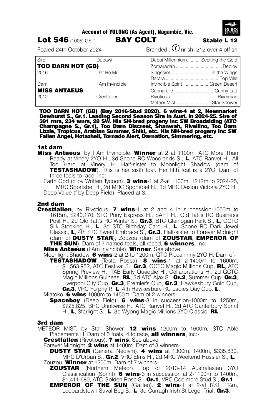 Pedigree - Lot 546