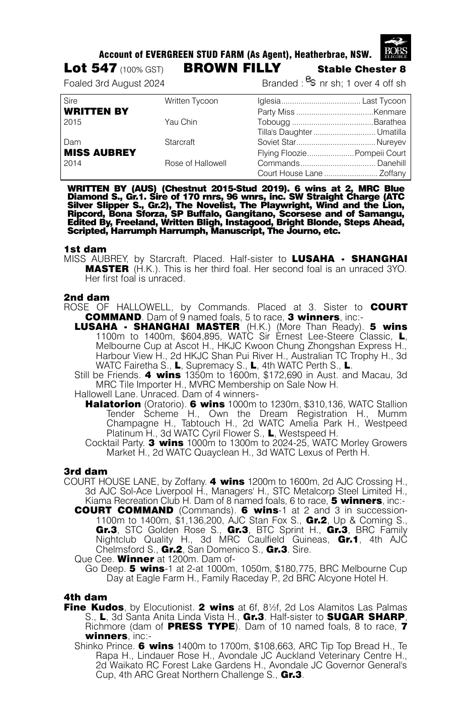Pedigree - Lot 547