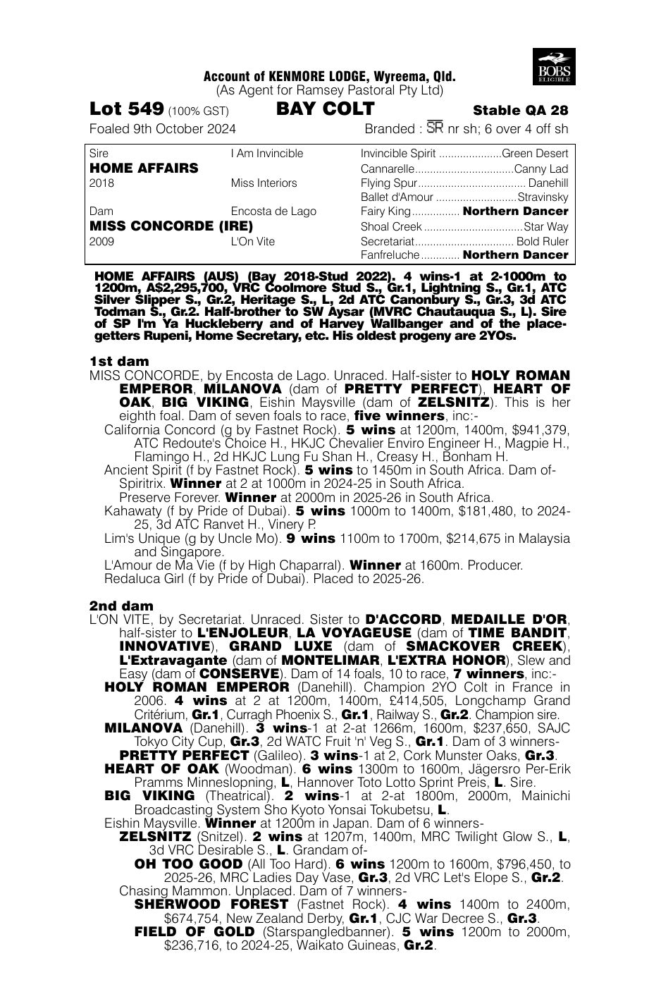 Pedigree - Lot 549