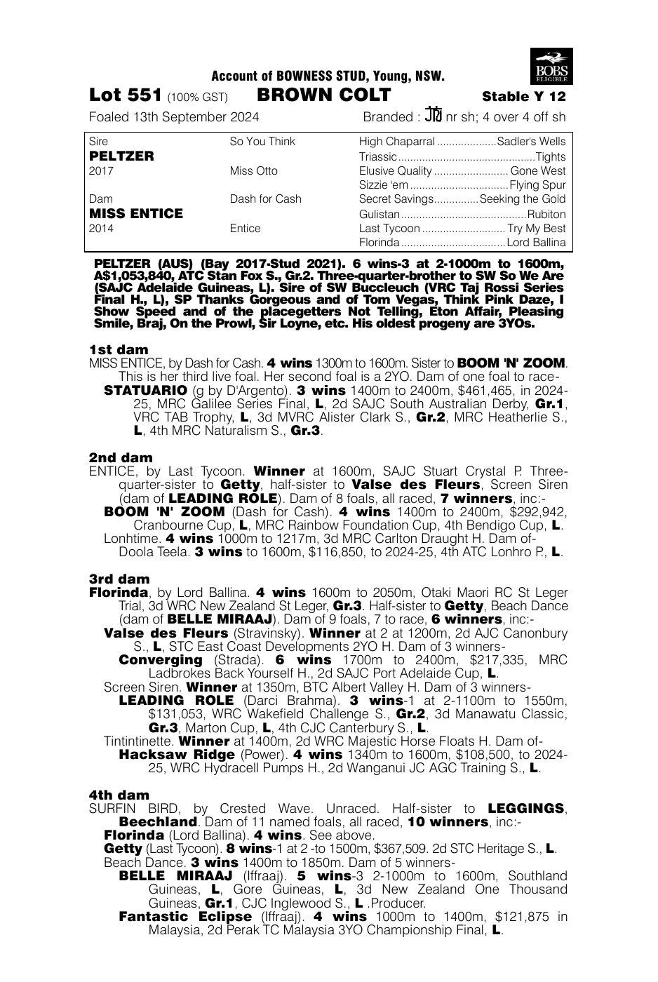 Pedigree - Lot 551
