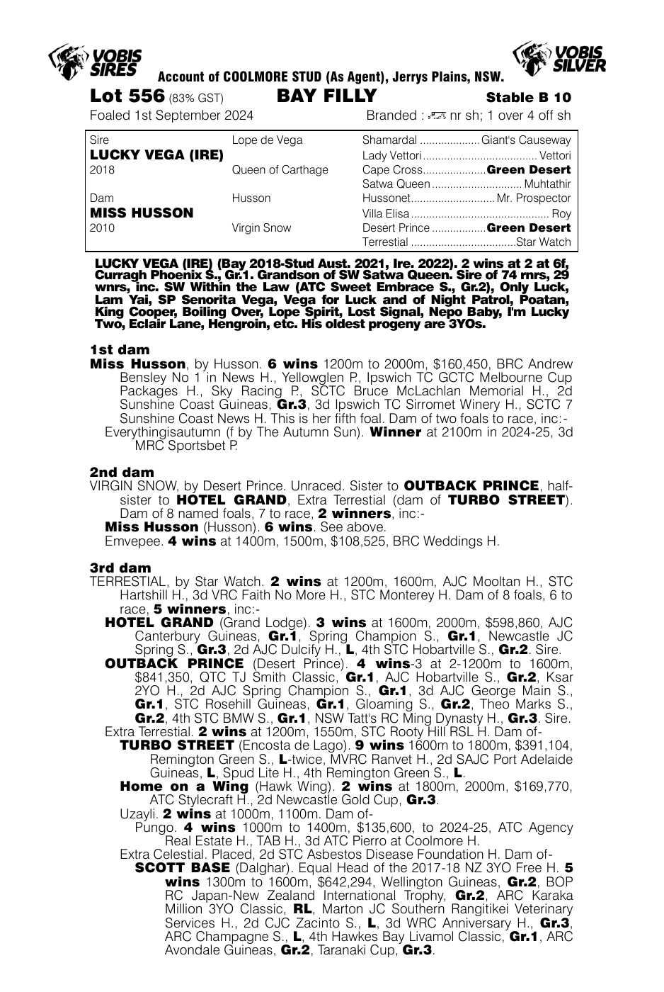 Pedigree - Lot 556