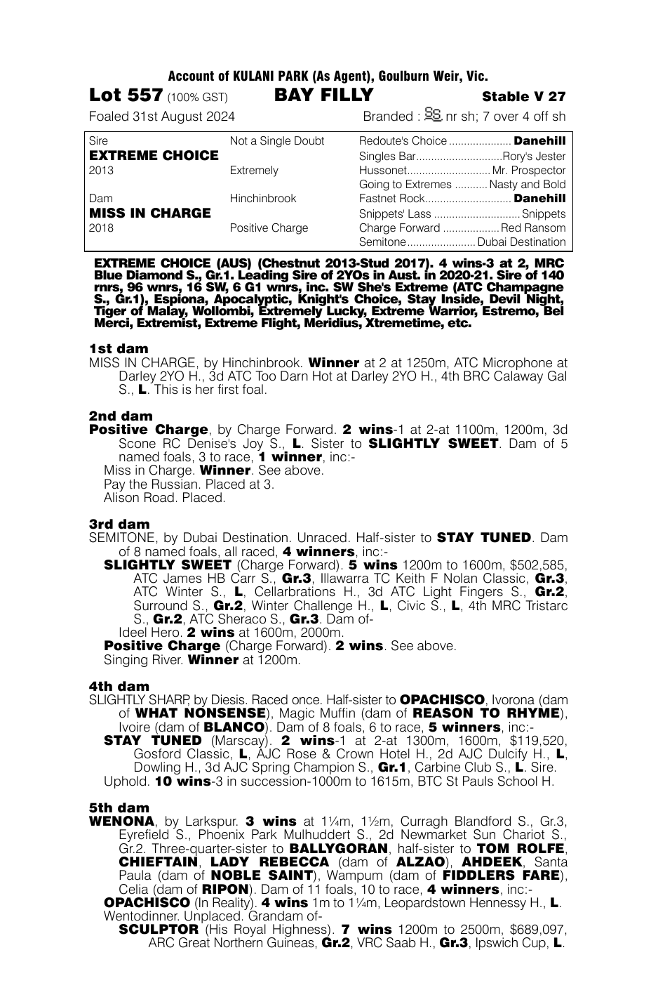 Pedigree - Lot 557