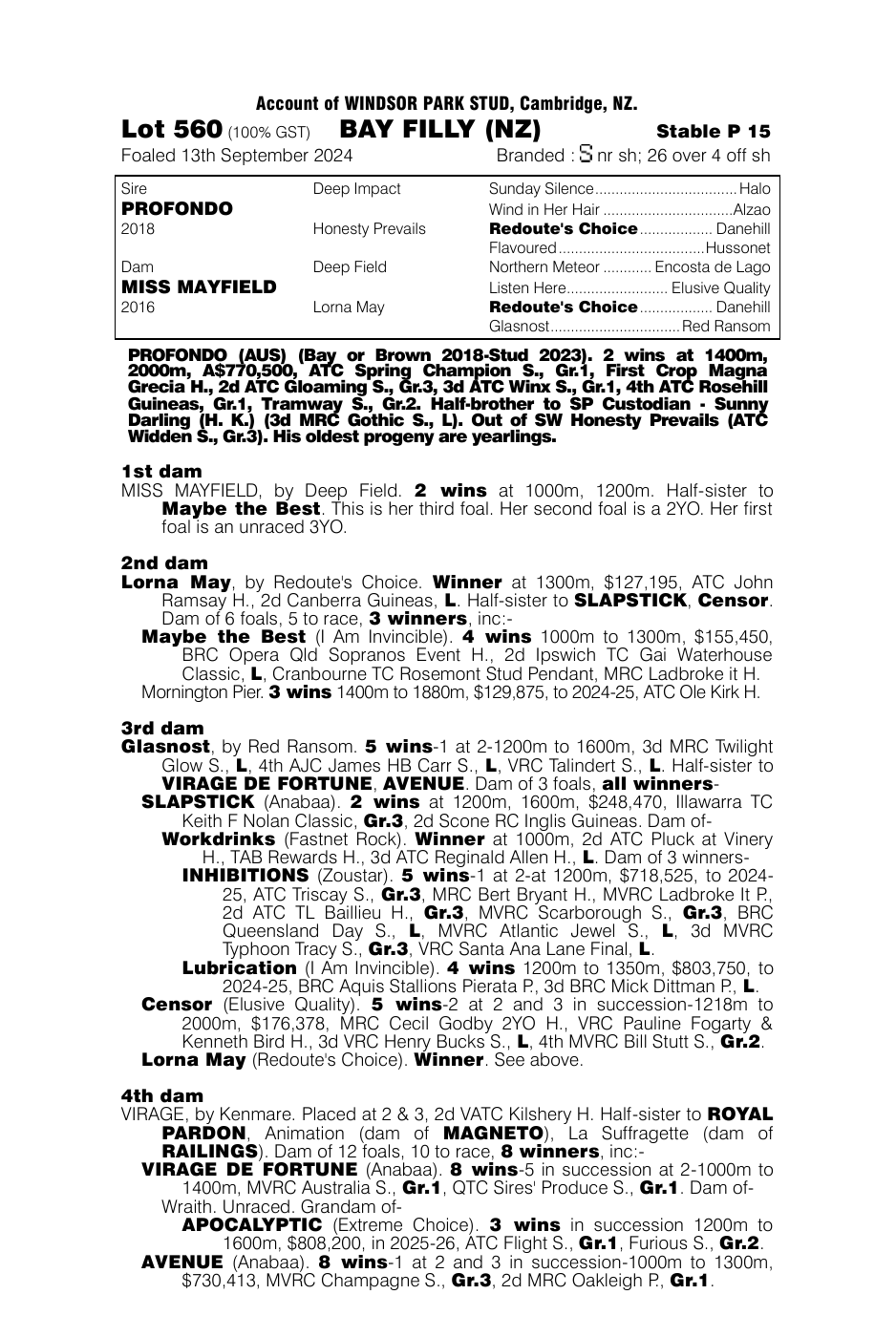 Pedigree - Lot 560