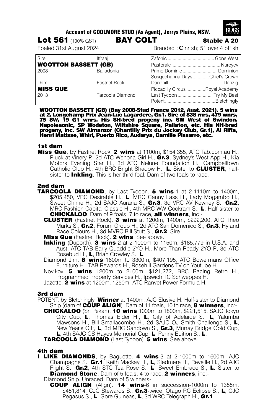 Pedigree - Lot 561
