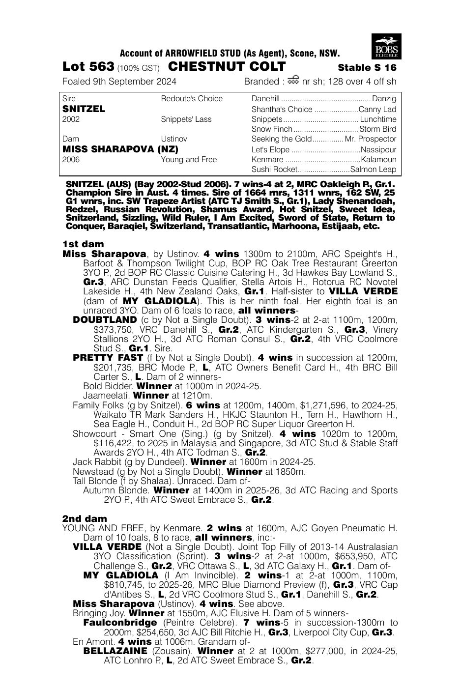Pedigree - Lot 563