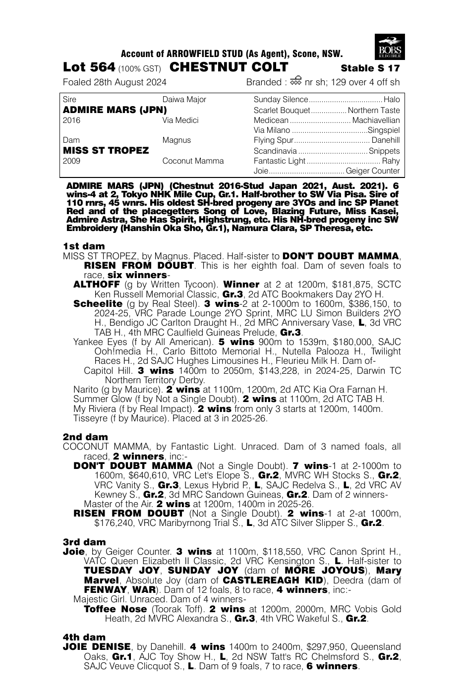Pedigree - Lot 564
