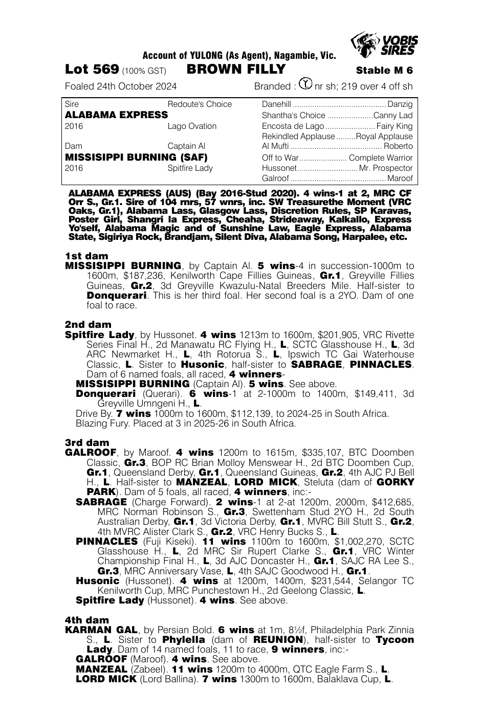 Pedigree - Lot 569