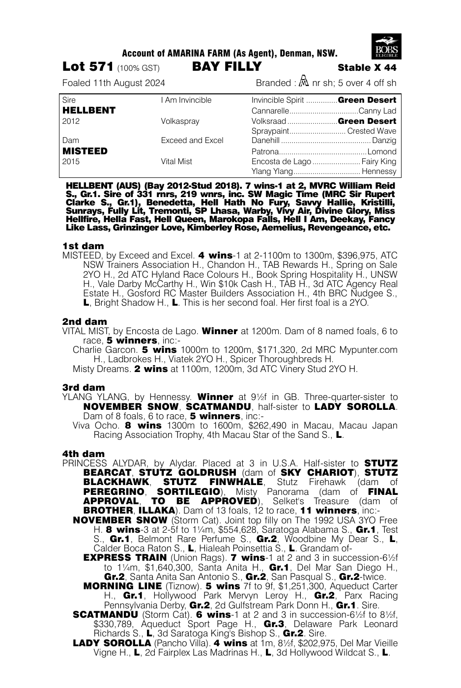 Pedigree - Lot 571