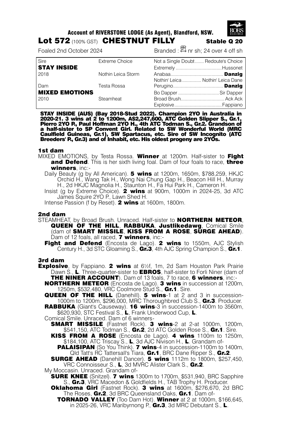 Pedigree - Lot 572