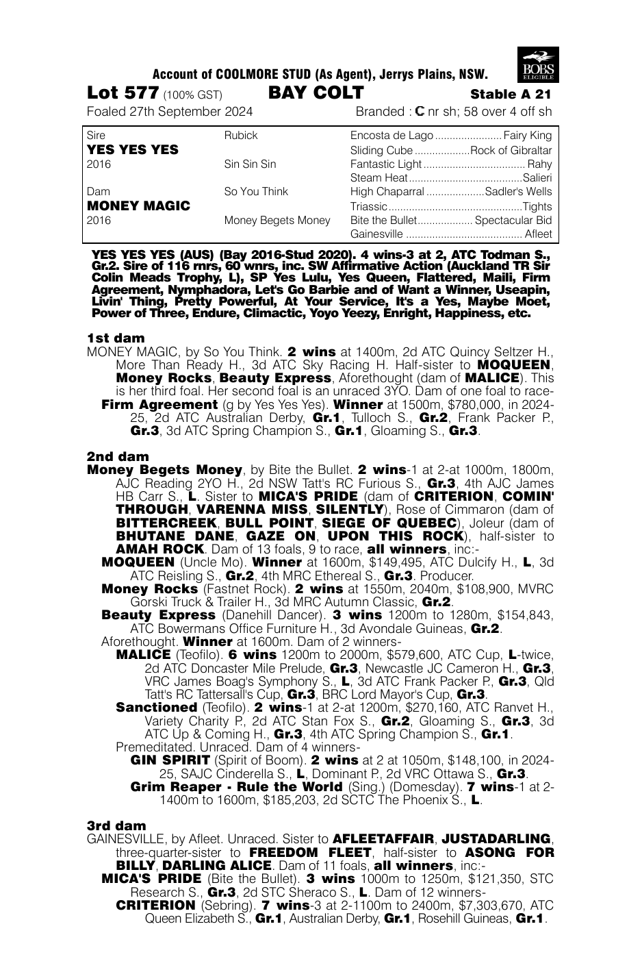 Pedigree - Lot 577