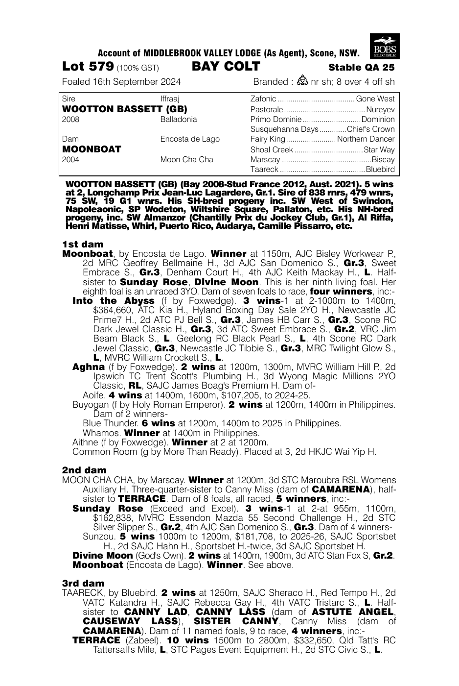 Pedigree - Lot 579