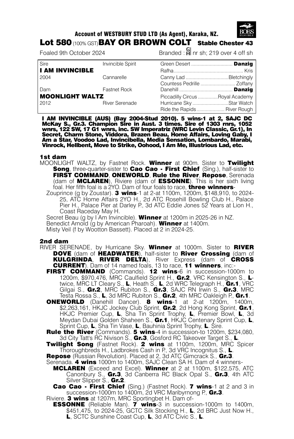 Pedigree - Lot 580