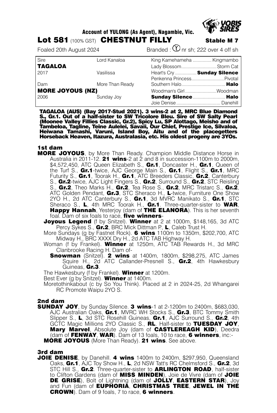 Pedigree - Lot 581