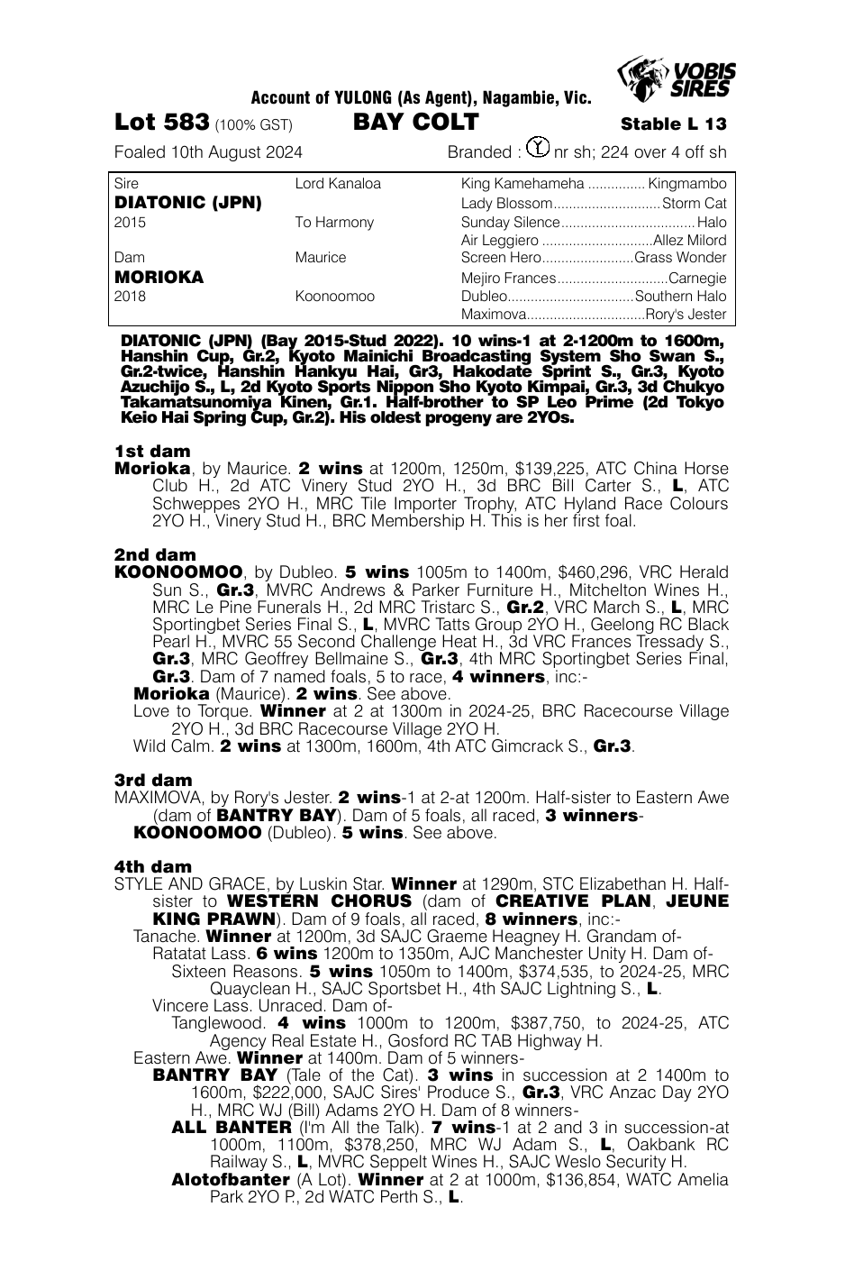 Pedigree - Lot 583