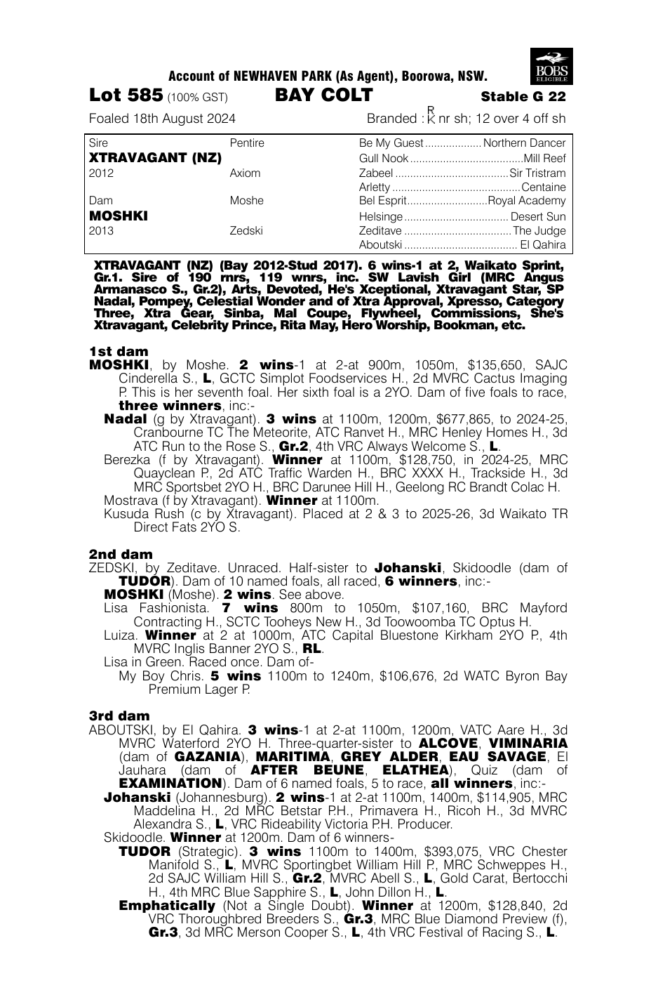 Pedigree - Lot 585