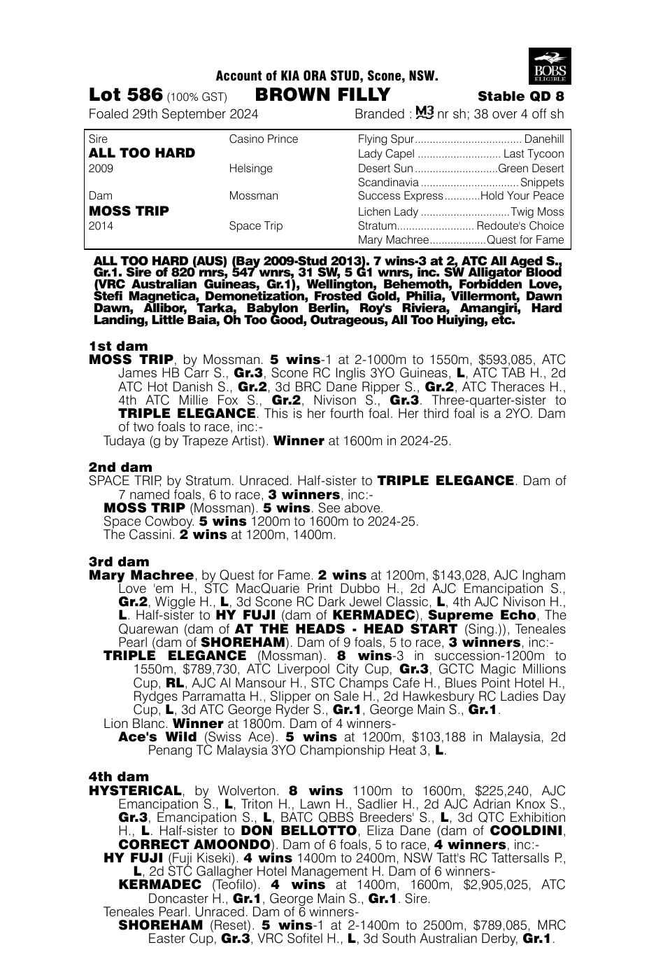 Pedigree - Lot 586