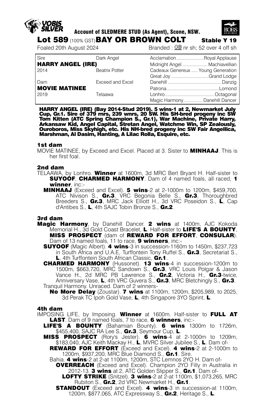 Pedigree - Lot 589