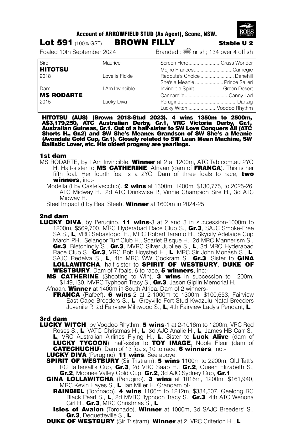 Pedigree - Lot 591