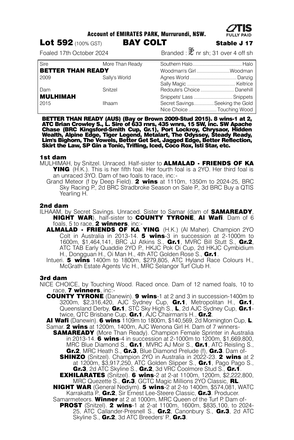 Pedigree - Lot 592