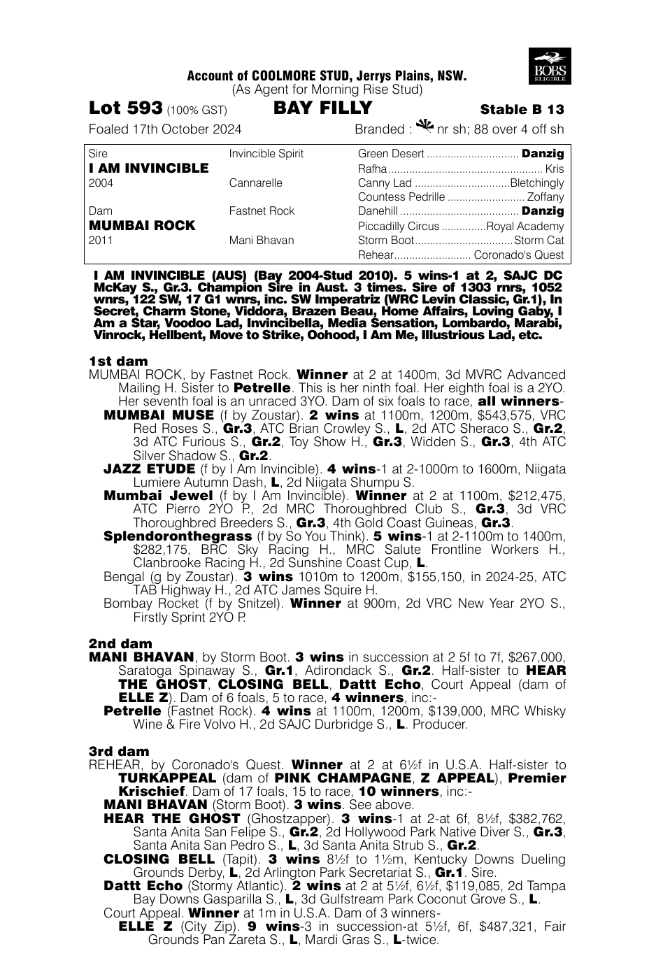 Pedigree - Lot 593