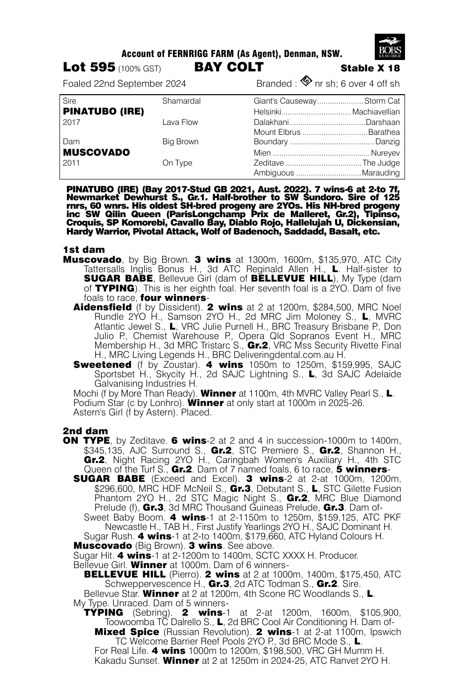 Pedigree - Lot 595
