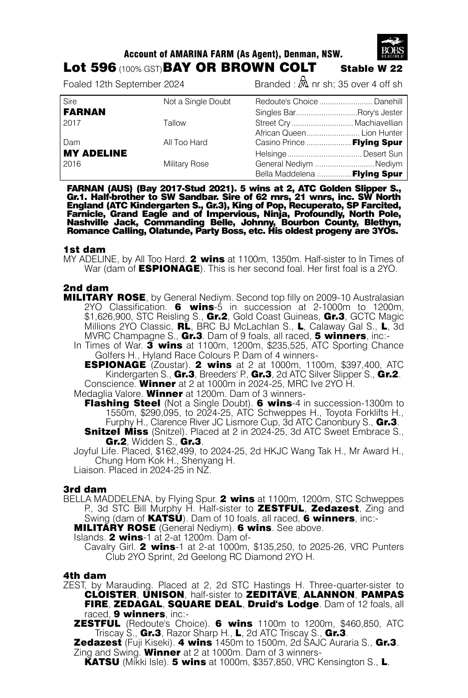 Pedigree - Lot 596