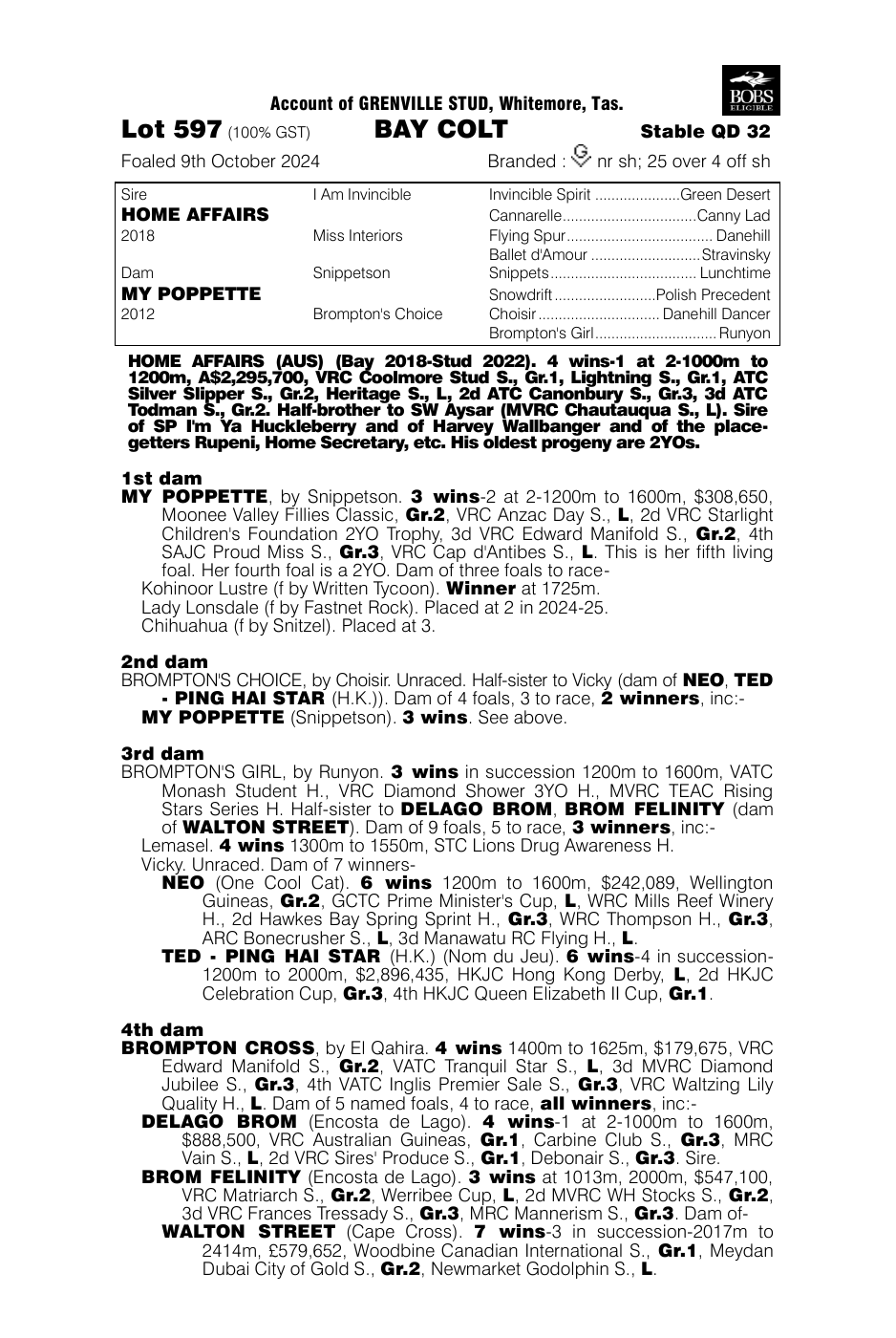 Pedigree - Lot 597