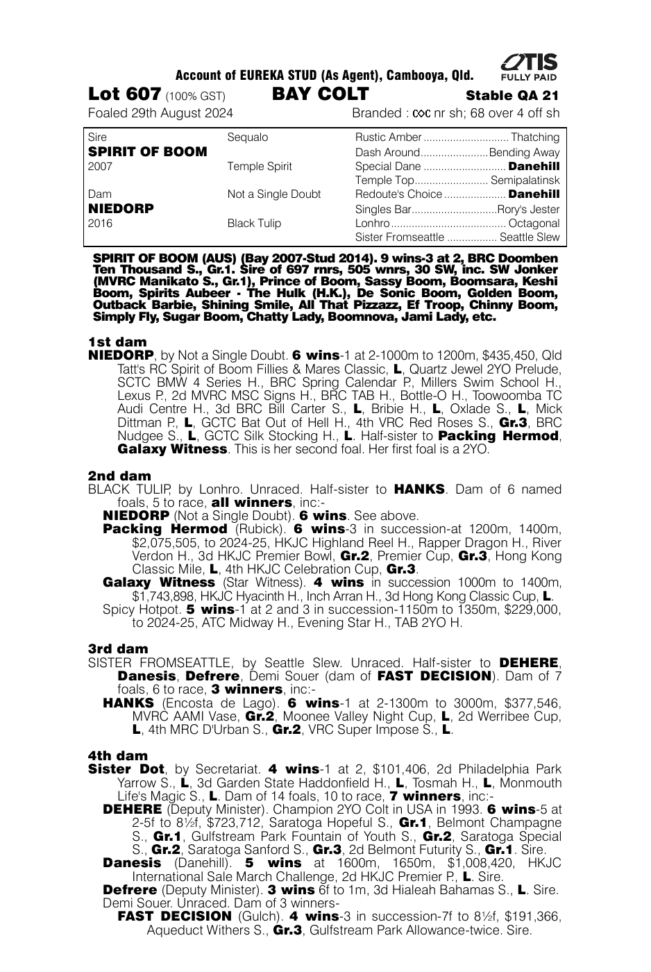 Pedigree - Lot 607