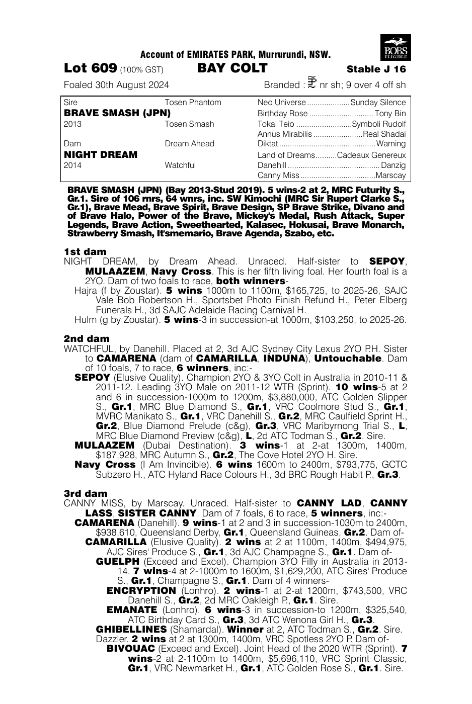 Pedigree - Lot 609