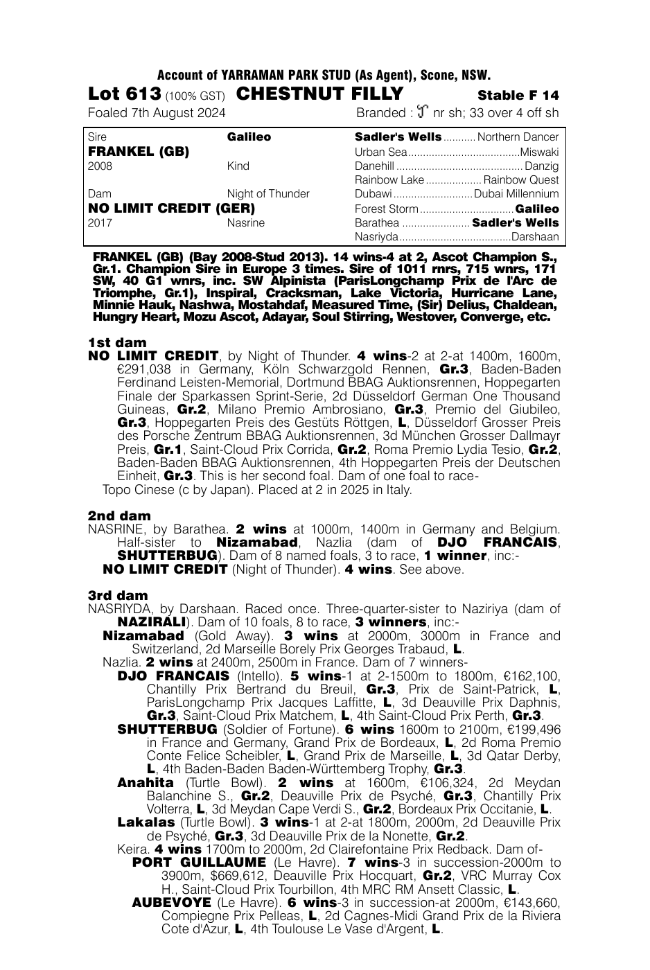 Pedigree - Lot 613