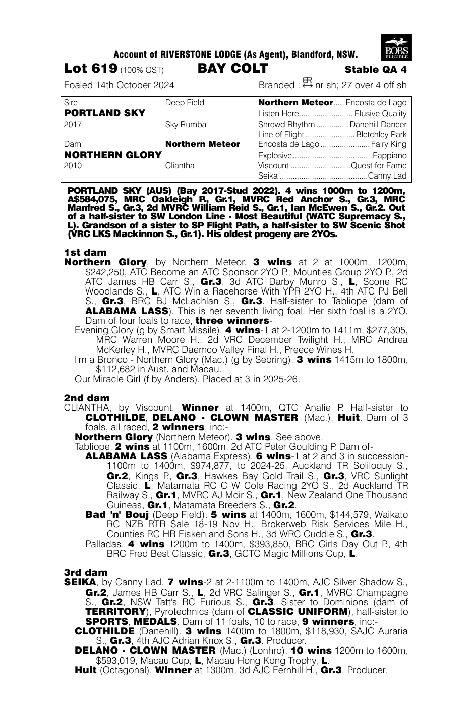 Pedigree - Lot 619