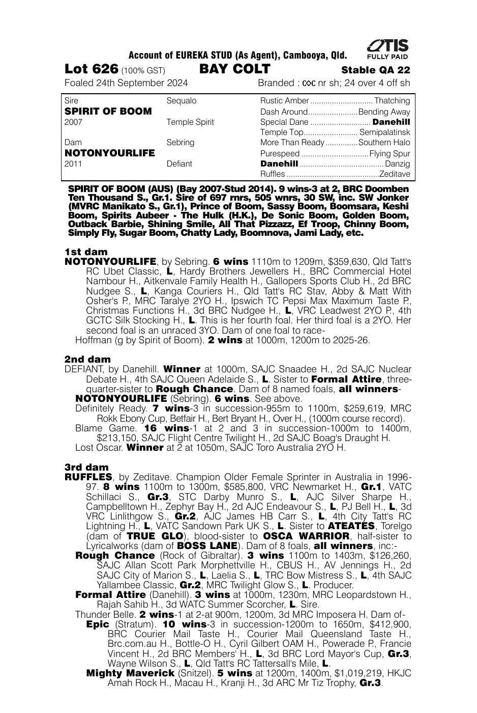 Pedigree - Lot 626