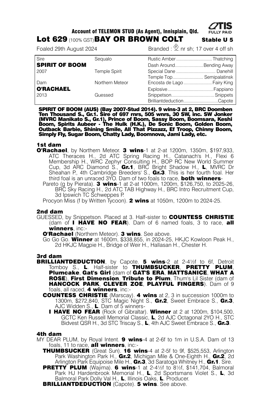 Pedigree - Lot 629