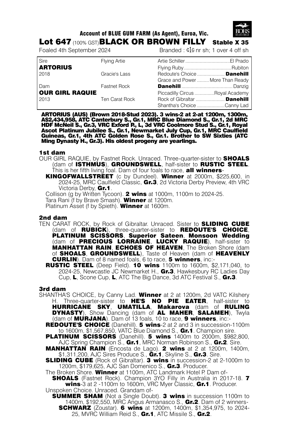 Pedigree - Lot 647