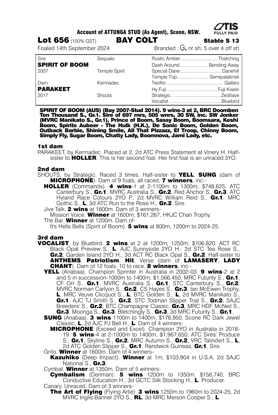 Pedigree - Lot 656