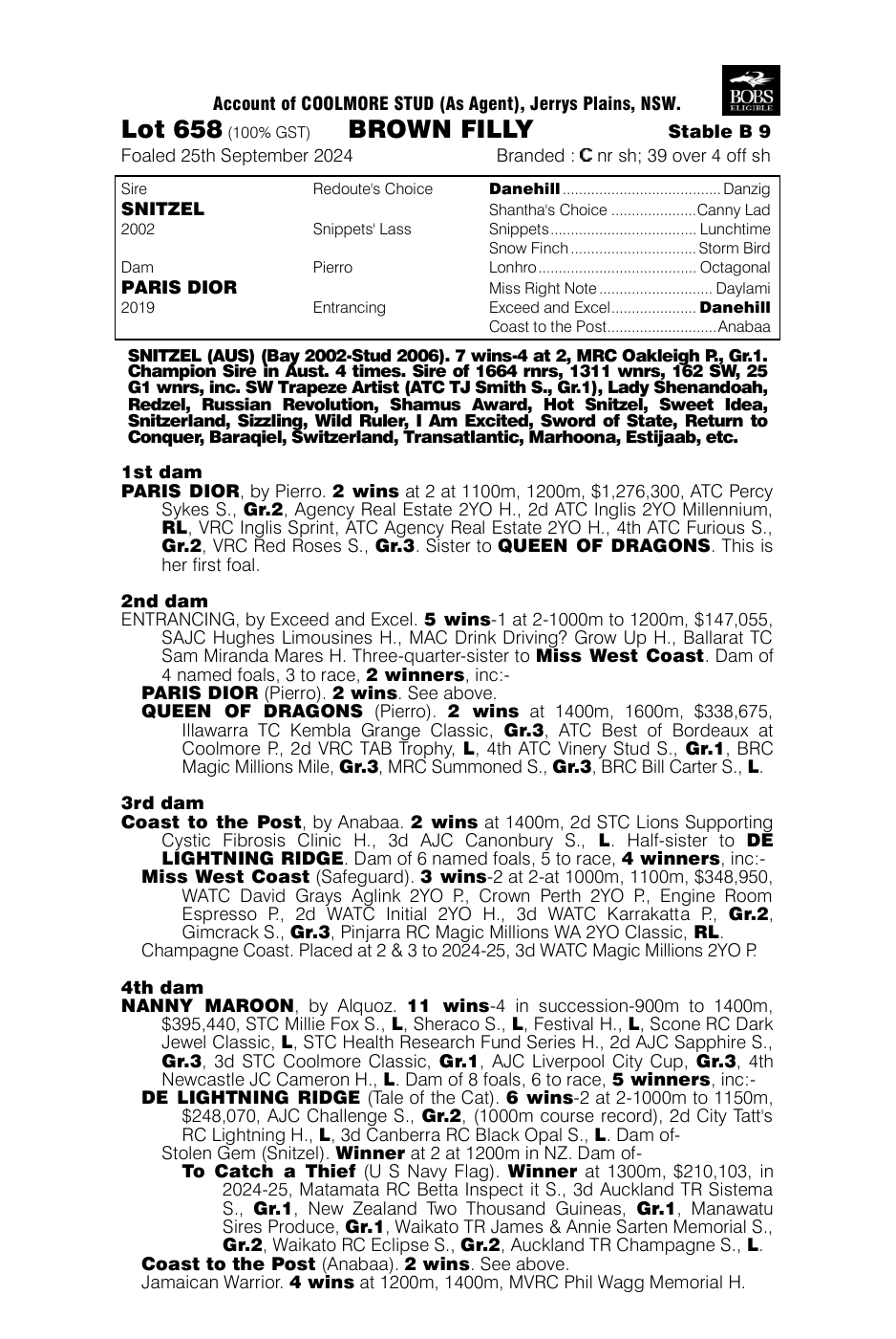 Pedigree - Lot 658